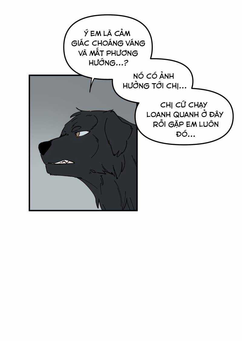 Lumine - Chapter 160 - Trang 13