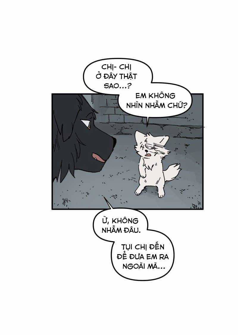 Lumine - Chapter 160 - Trang 10