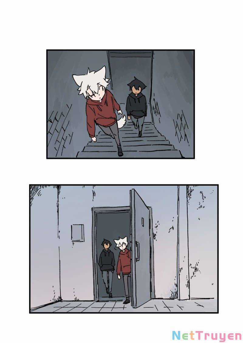 Lumine - Chapter 162 - Trang 3