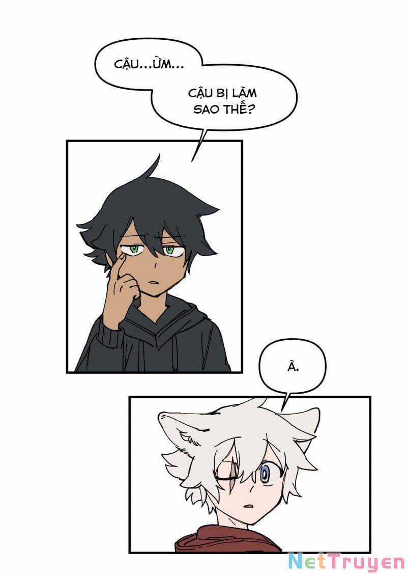 Lumine - Chapter 162 - Trang 5