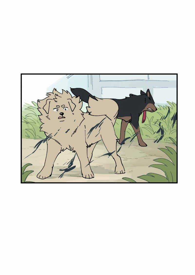 Lumine - Chapter 163 - Trang 14