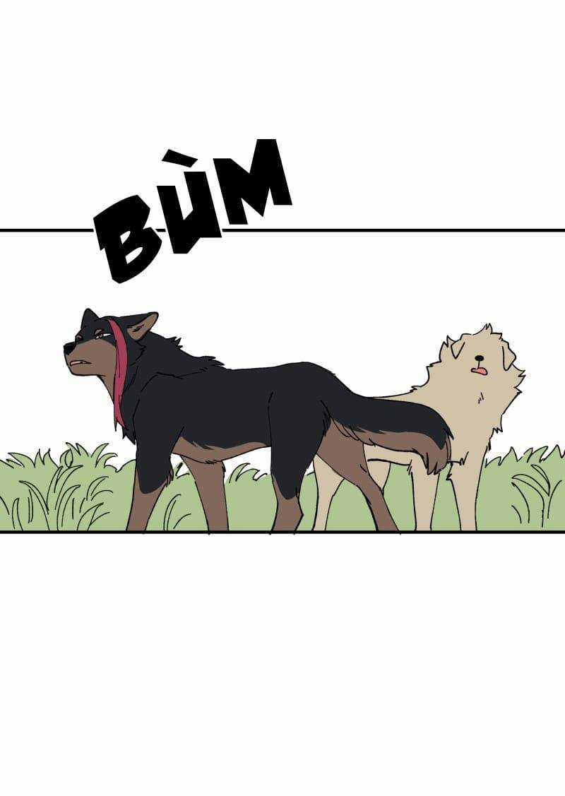 Lumine - Chapter 163 - Trang 15