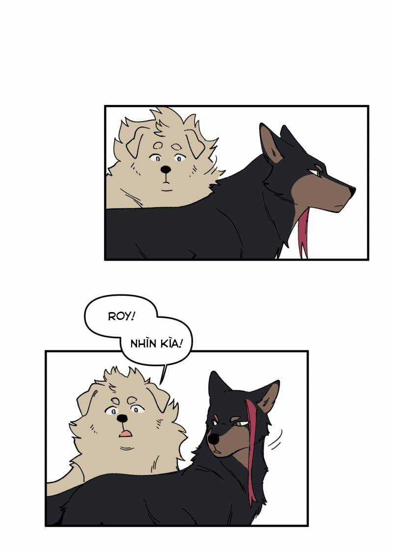 Lumine - Chapter 163 - Trang 18