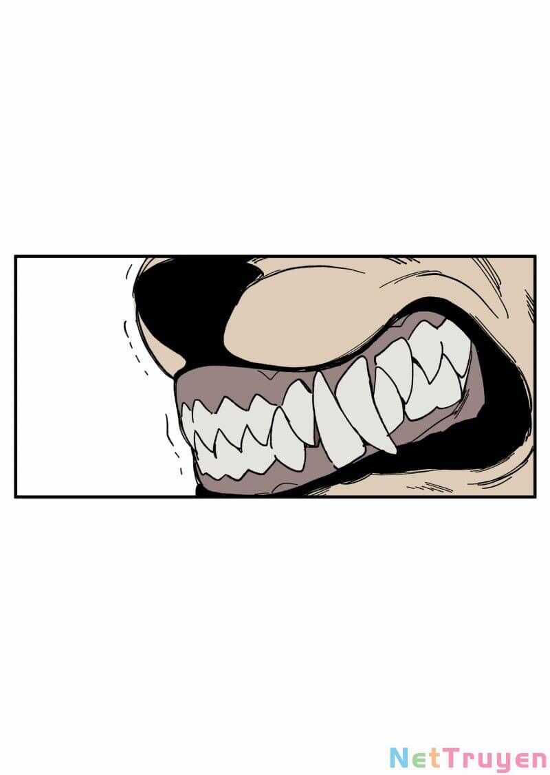 Lumine - Chapter 165 - Trang 2