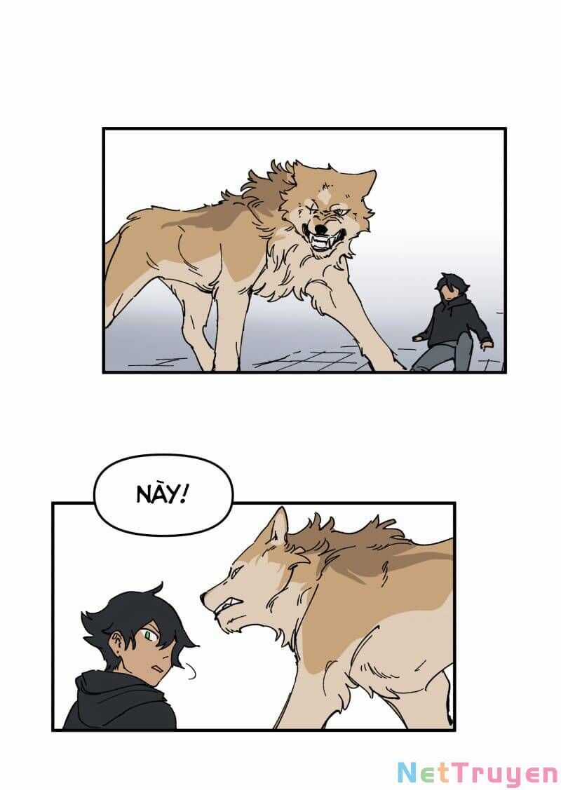 Lumine - Chapter 165 - Trang 26
