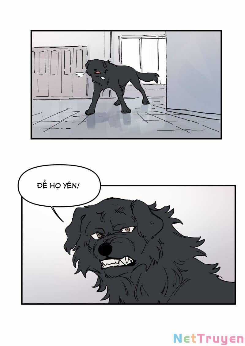 Lumine - Chapter 165 - Trang 27