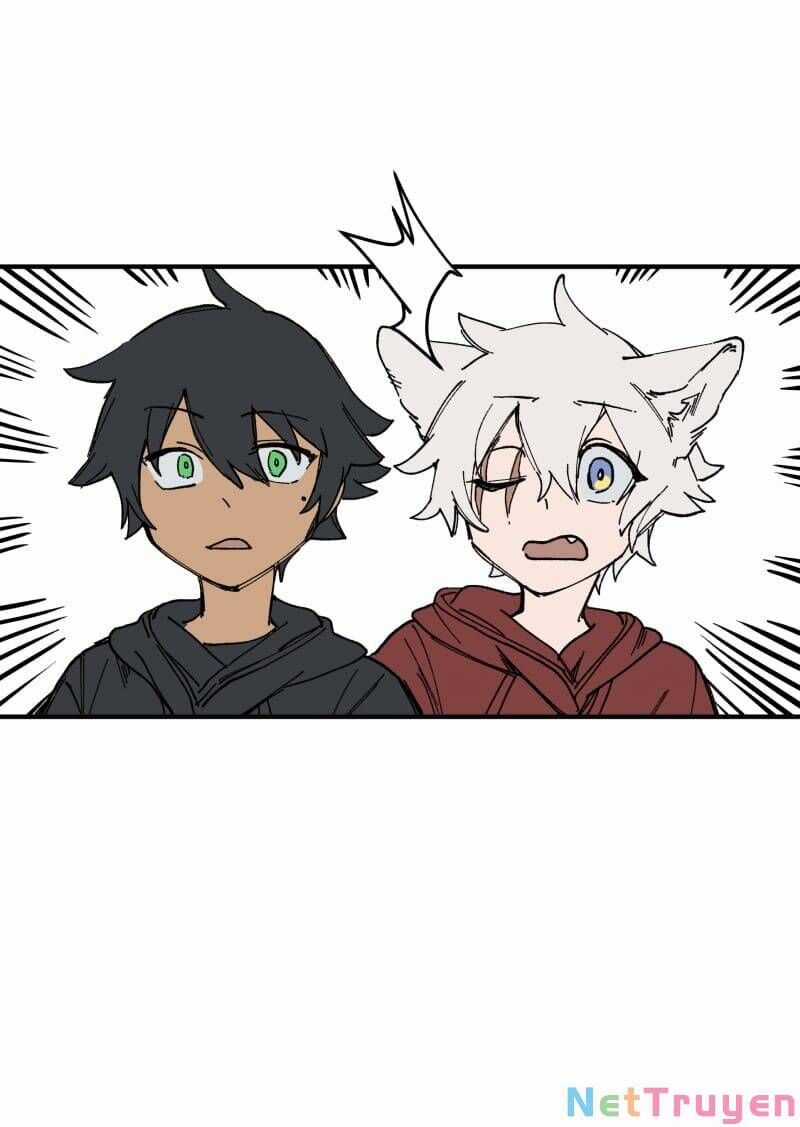 Lumine - Chapter 165 - Trang 4