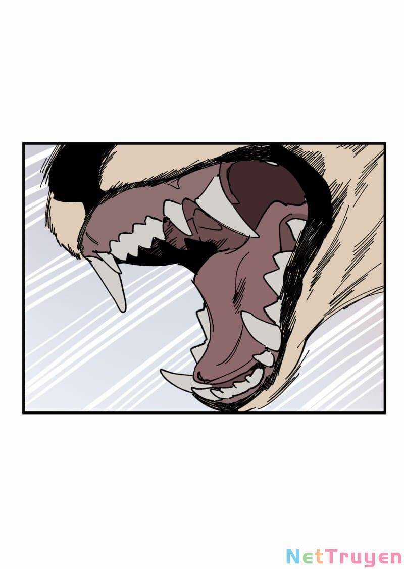 Lumine - Chapter 167 - Trang 16