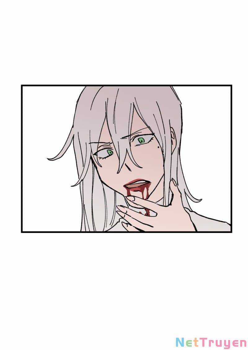 Lumine - Chapter 167 - Trang 3