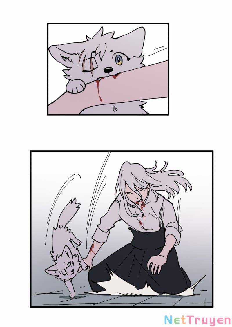 Lumine - Chapter 167 - Trang 4