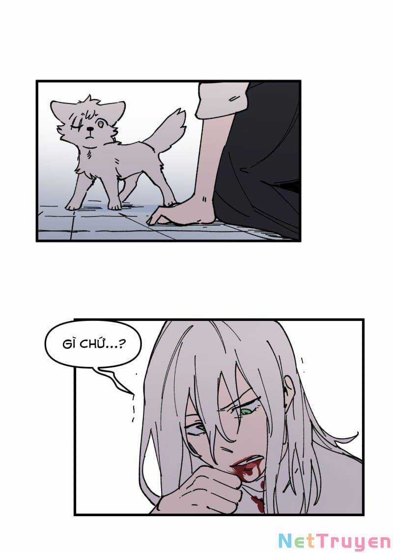 Lumine - Chapter 167 - Trang 5