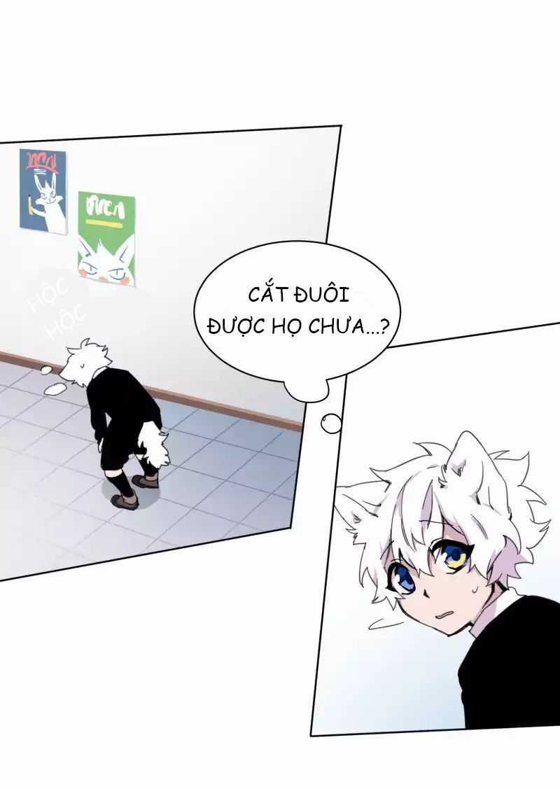 Lumine - Chapter 19 - Trang 23