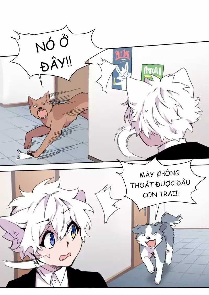 Lumine - Chapter 19 - Trang 24