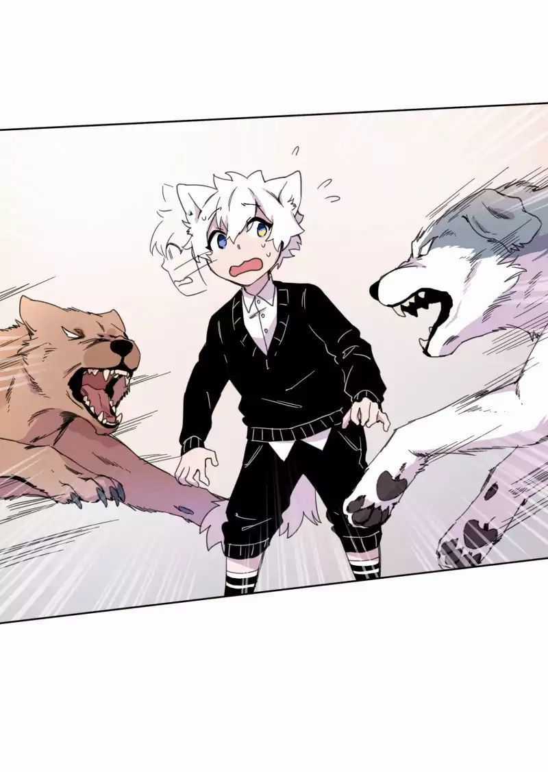 Lumine - Chapter 19 - Trang 25