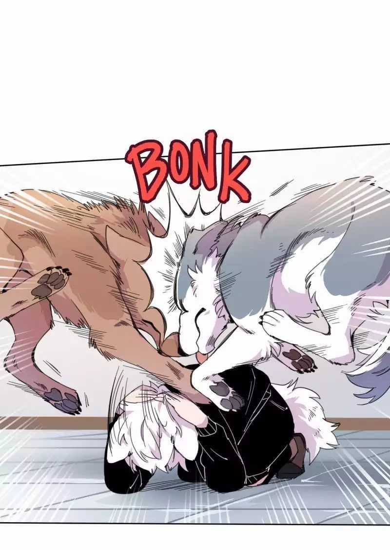 Lumine - Chapter 19 - Trang 26