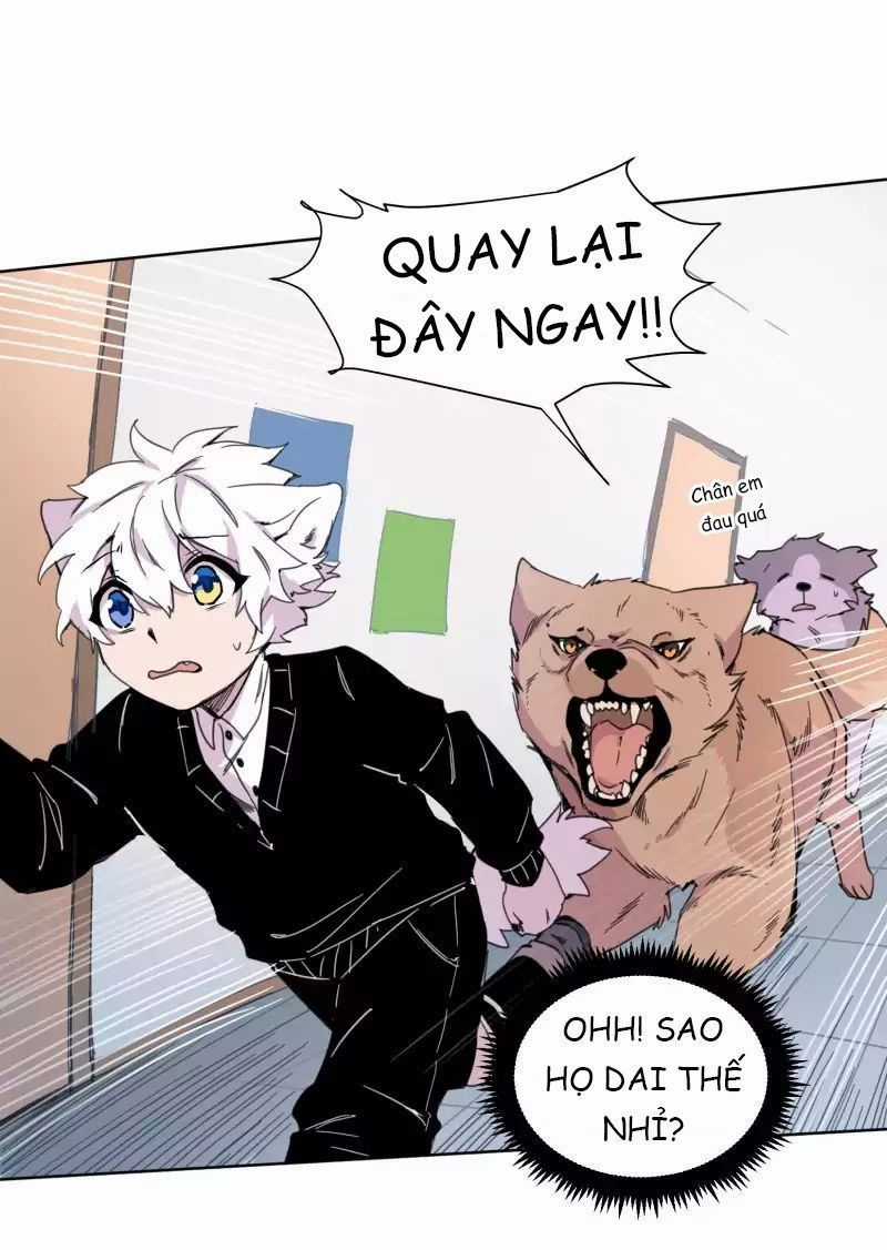 Lumine - Chapter 19 - Trang 29