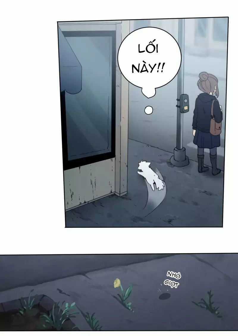 Lumine - Chapter 22 - Trang 26