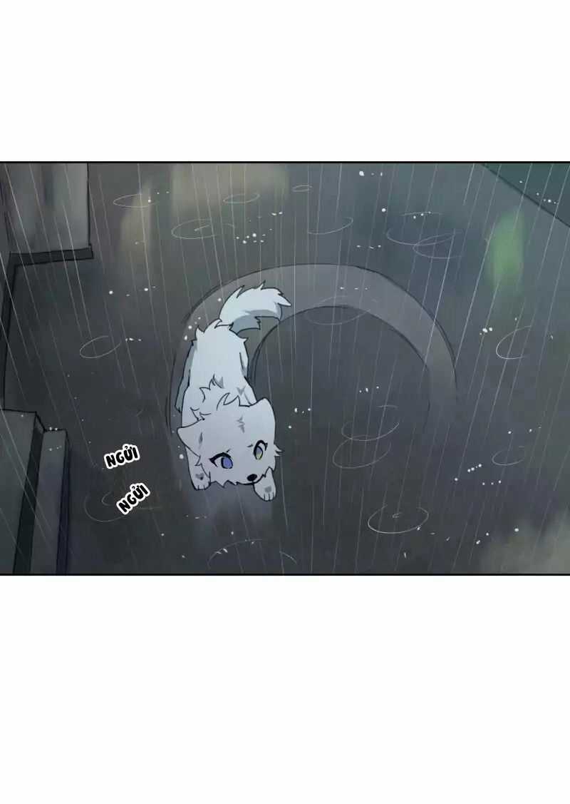 Lumine - Chapter 23 - Trang 20