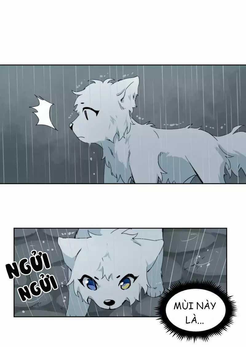 Lumine - Chapter 23 - Trang 38