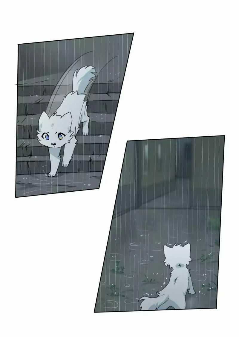 Lumine - Chapter 23 - Trang 40