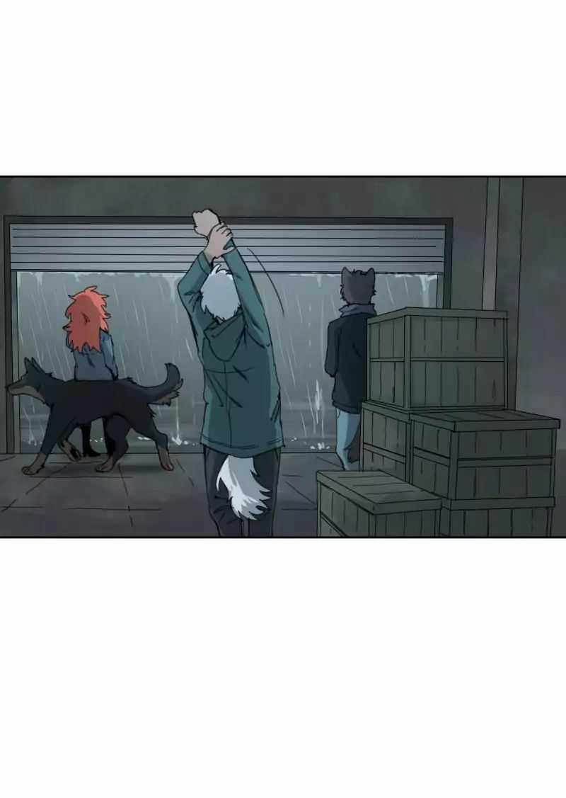 Lumine - Chapter 24 - Trang 12