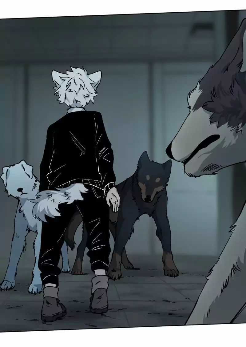 Lumine - Chapter 25 - Trang 29