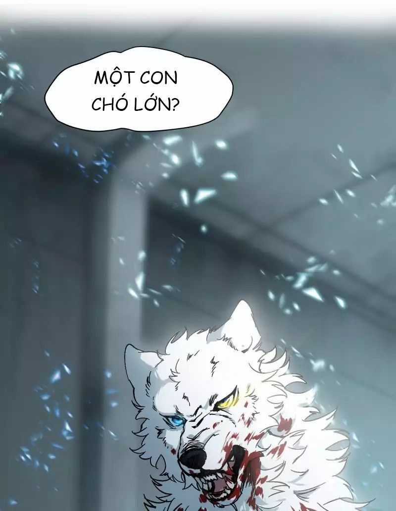 Lumine - Chapter 26 - Trang 35