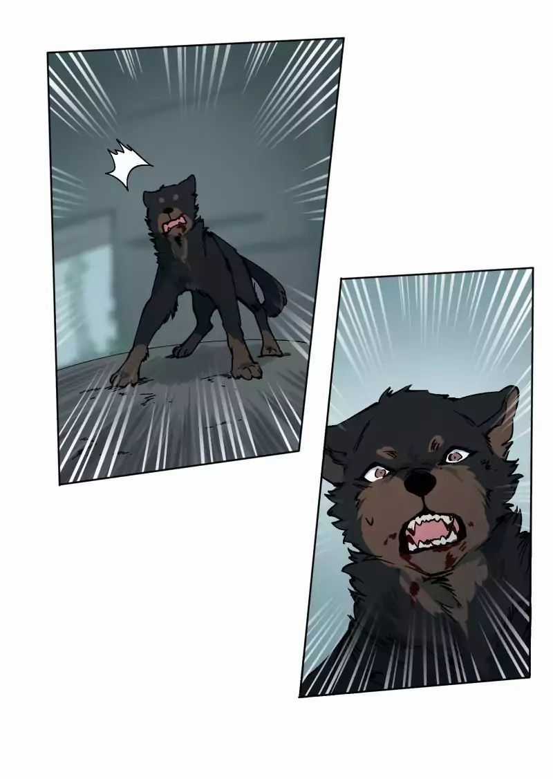 Lumine - Chapter 26 - Trang 39