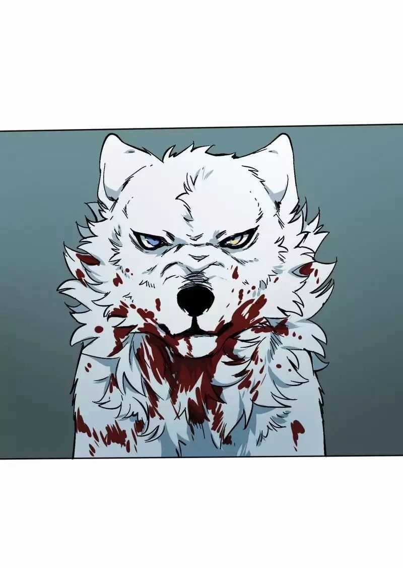 Lumine - Chapter 27 - Trang 11