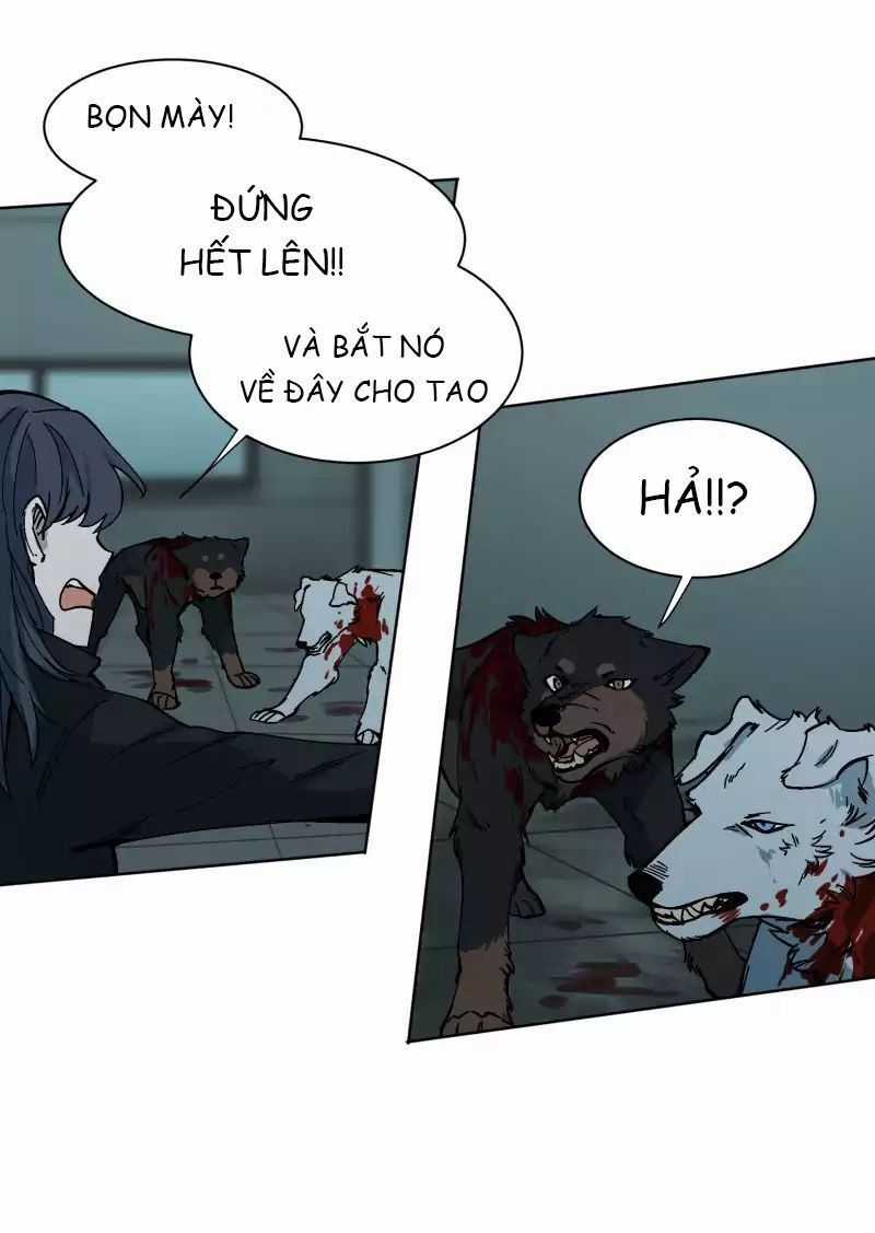 Lumine - Chapter 27 - Trang 14