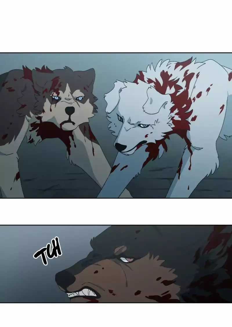 Lumine - Chapter 29 - Trang 8