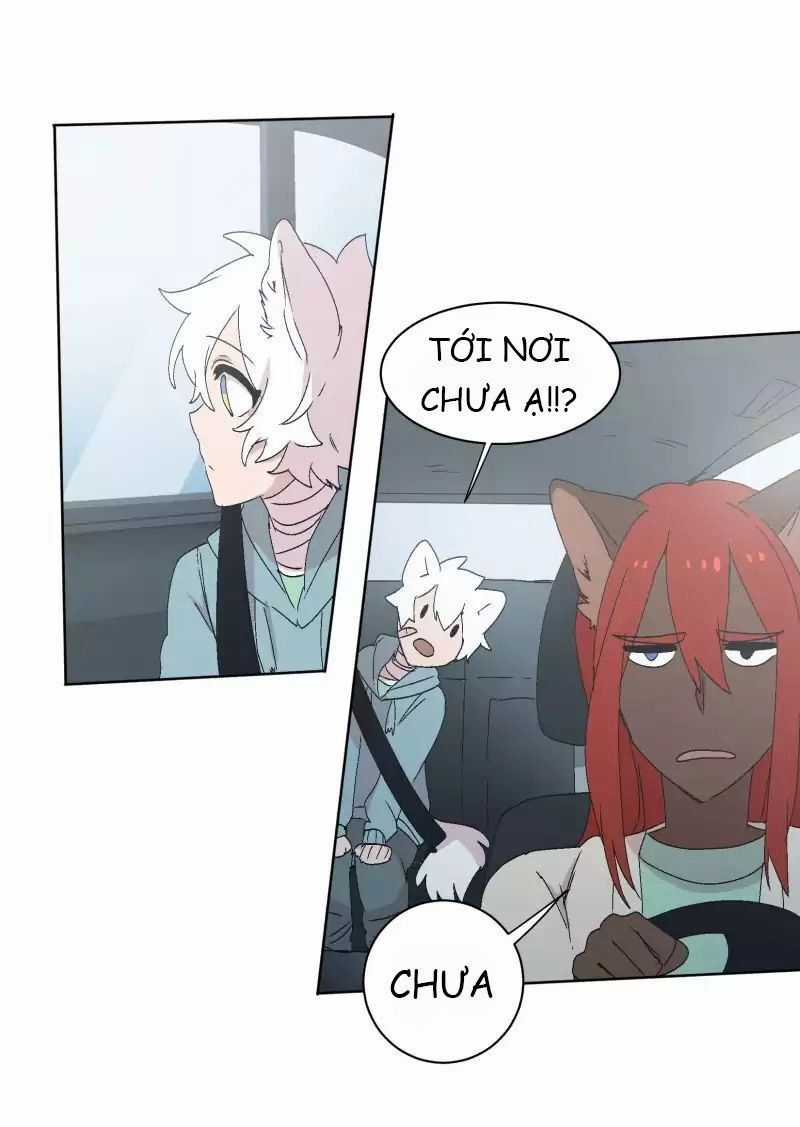 Lumine - Chapter 30 - Trang 17