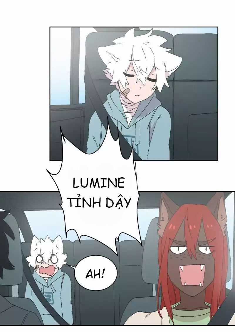 Lumine - Chapter 30 - Trang 26