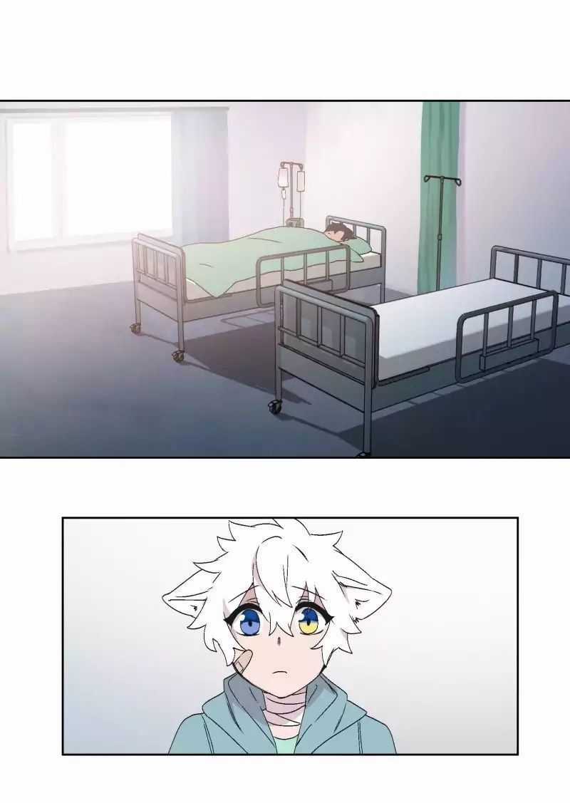 Lumine - Chapter 30 - Trang 30