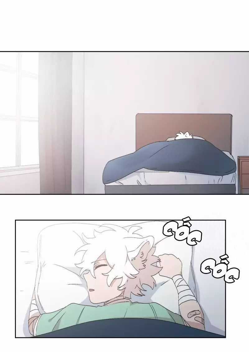 Lumine - Chapter 30 - Trang 5