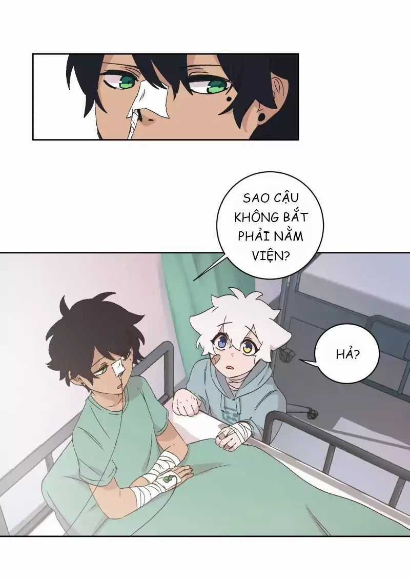 Lumine - Chapter 31 - Trang 21