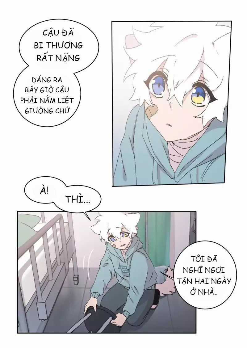 Lumine - Chapter 31 - Trang 22