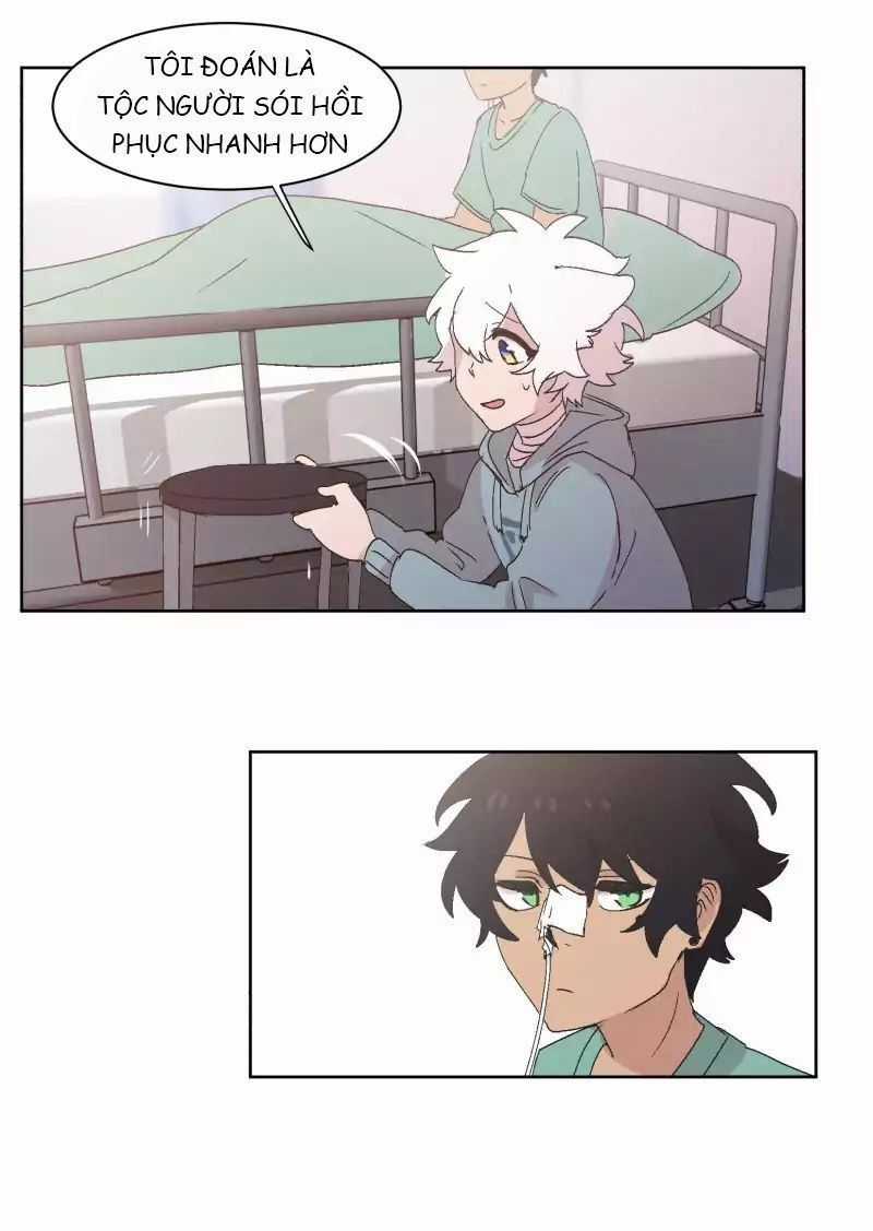 Lumine - Chapter 31 - Trang 23