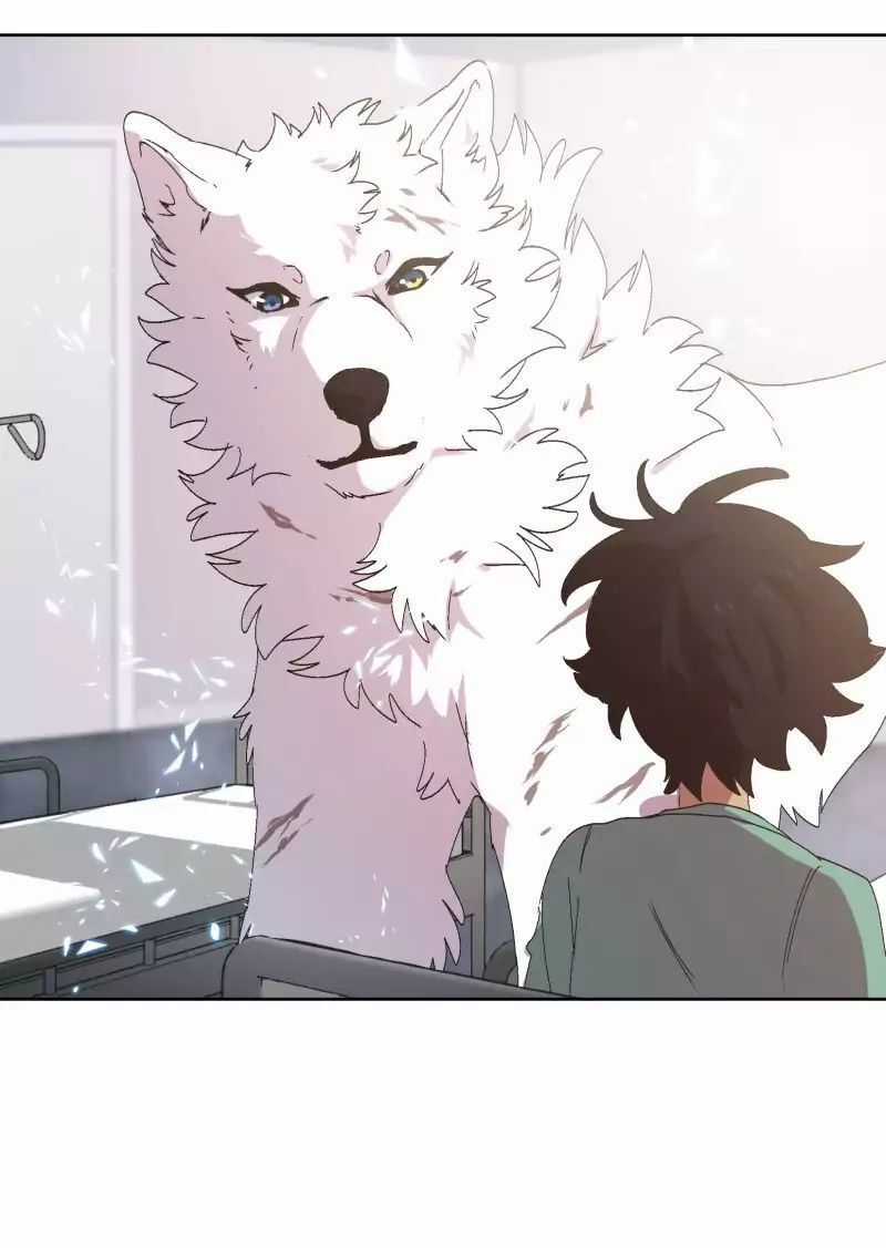 Lumine - Chapter 31 - Trang 29