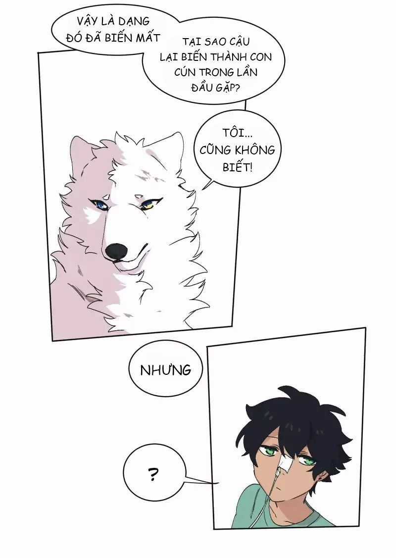 Lumine - Chapter 31 - Trang 31