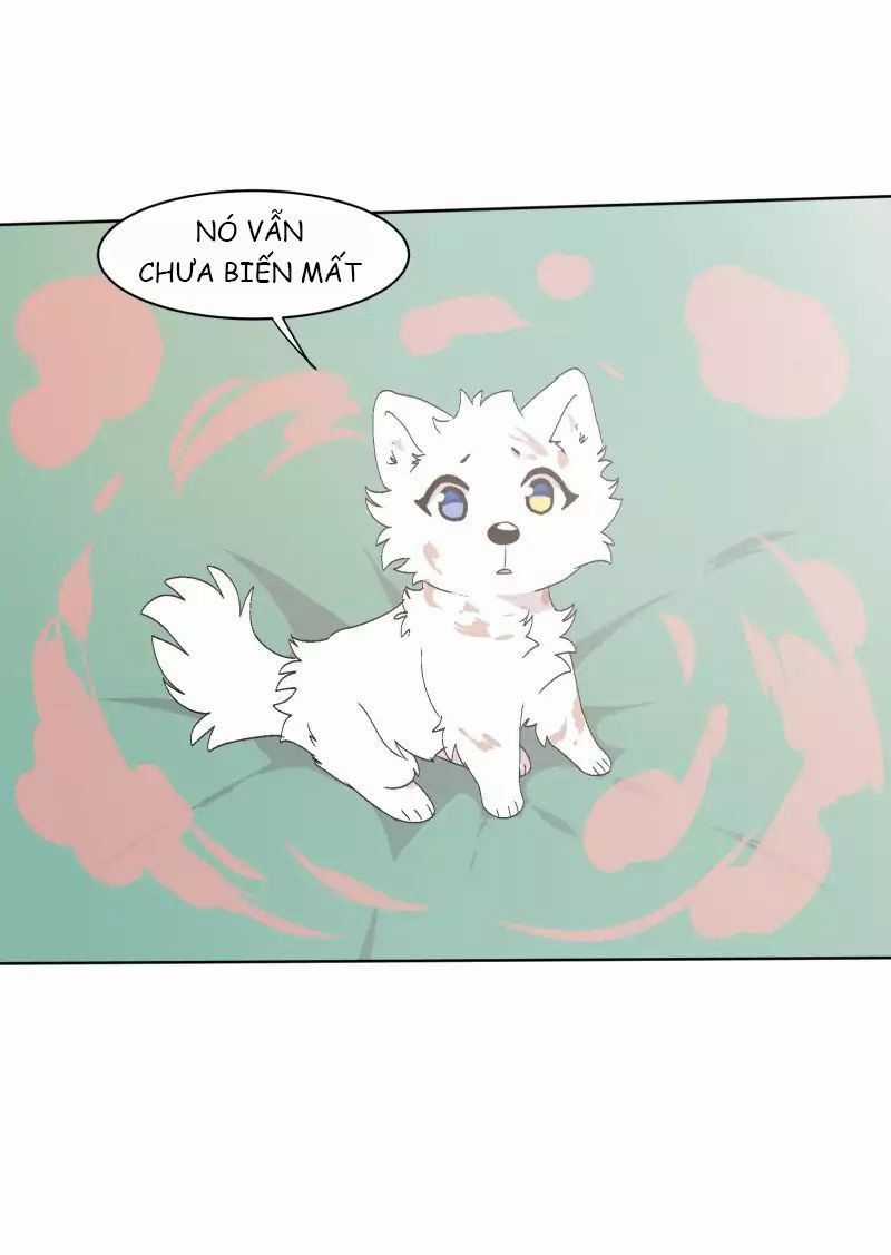 Lumine - Chapter 31 - Trang 34