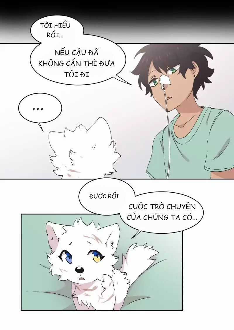 Lumine - Chapter 32 - Trang 20