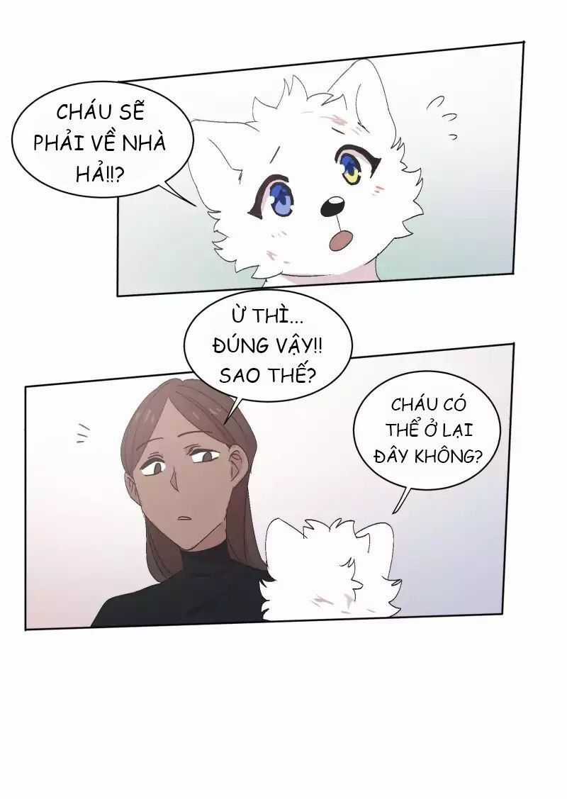 Lumine - Chapter 32 - Trang 27