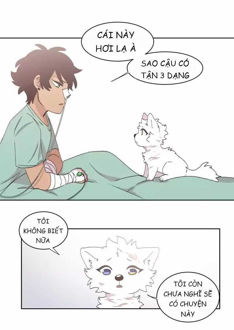 Lumine - Chapter 32 - Trang 4