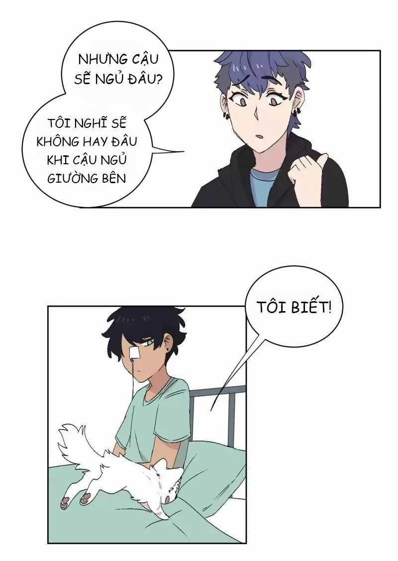 Lumine - Chapter 32 - Trang 31