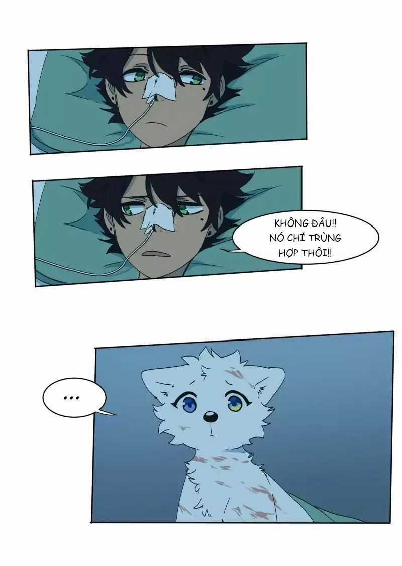 Lumine - Chapter 33 - Trang 11