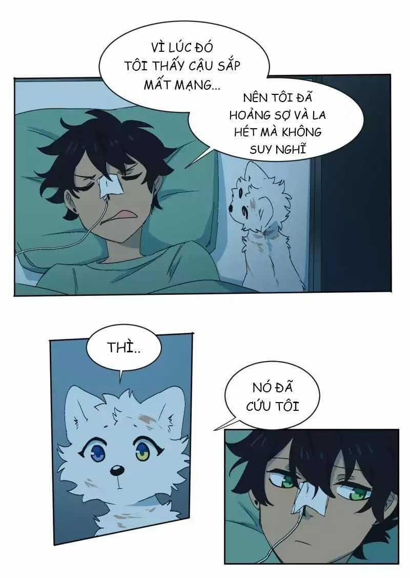 Lumine - Chapter 33 - Trang 15