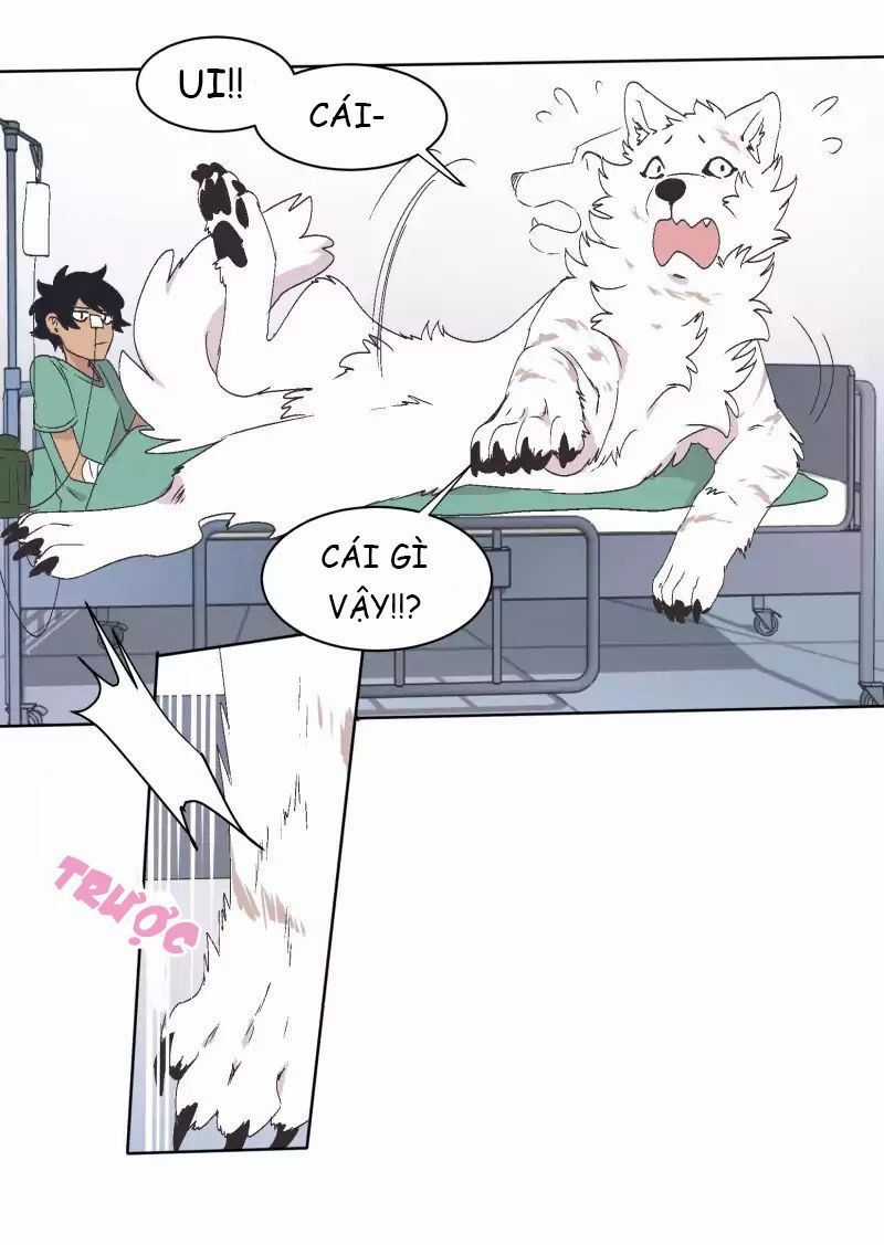 Lumine - Chapter 33 - Trang 30