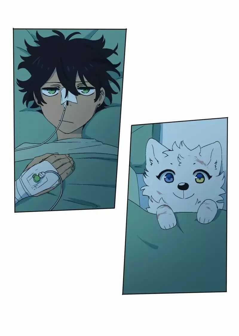 Lumine - Chapter 33 - Trang 4