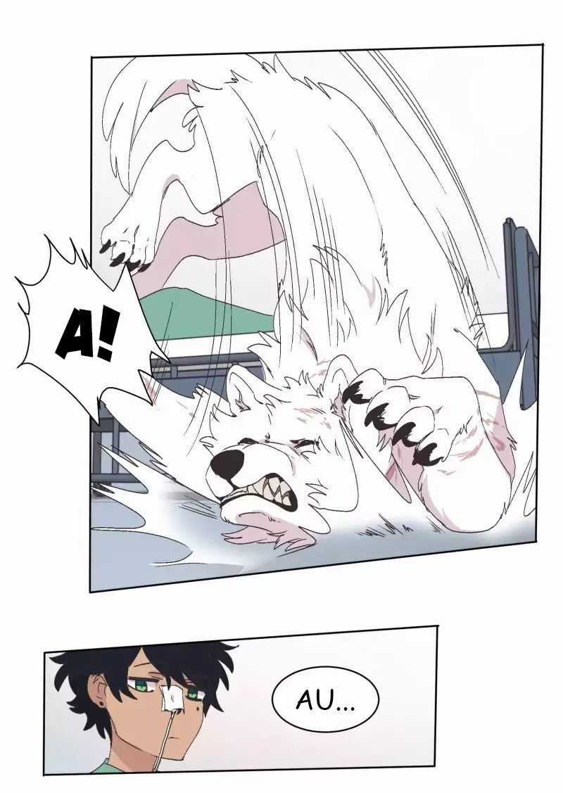 Lumine - Chapter 33 - Trang 31